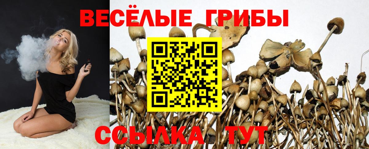 Псилоцибиновые грибы MAGIC MUSHROOMS Чебаркуль