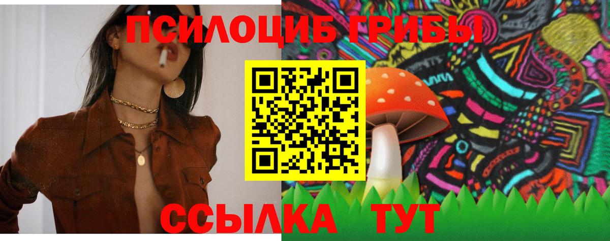 Псилоцибиновые грибы GOLDEN TEACHER  Вход с VPN  Чебаркуль 